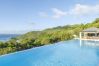 Villa à Anse Marcel - Abaca