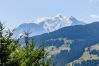 Chalet à Megève - Royal