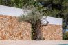 Villa à Ibiza - Can Rafalet