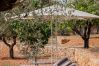 Villa à Ibiza - Can Rafalet