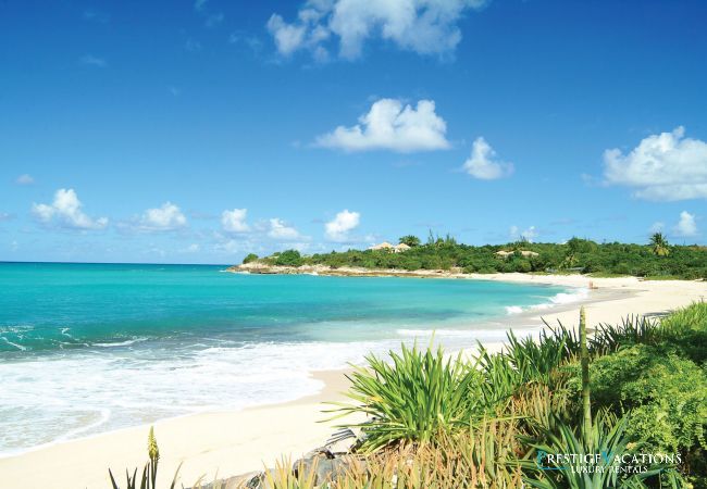 Villa à Terres Basses - Chateau des Palmiers