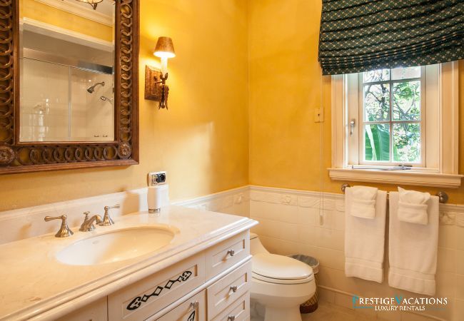 Villa à Terres Basses - Chateau des Palmiers