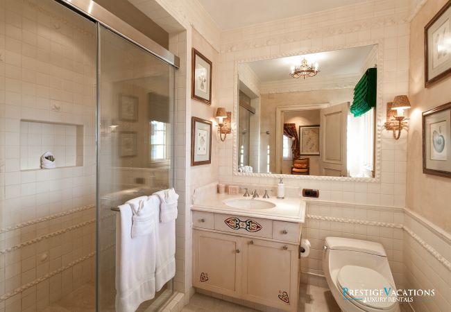 Villa à Terres Basses - Chateau des Palmiers