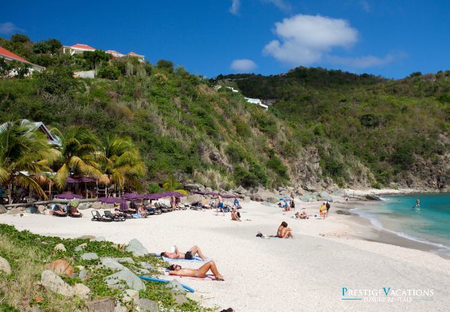 Villa à Saint Barthélemy - Vitti