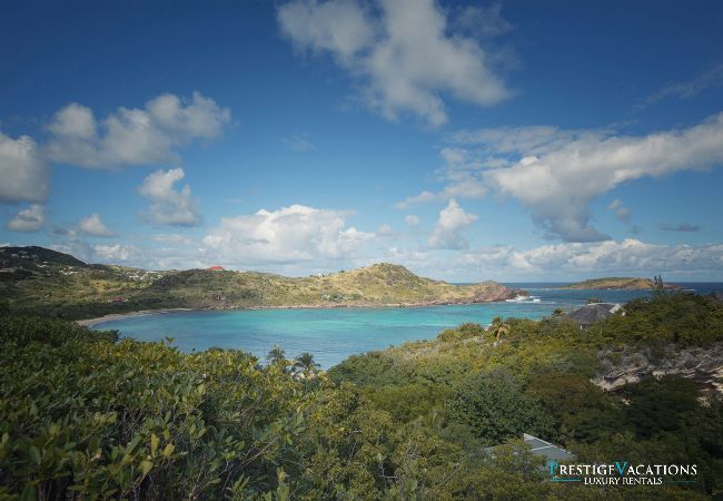 Villa à Saint Barthélemy - Petit Lagon