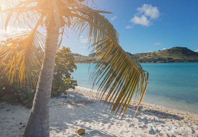 Villa à Saint Barthélemy - Petit Lagon