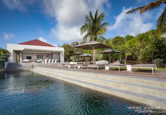 Villa à Saint Barthélemy - Palm Springs