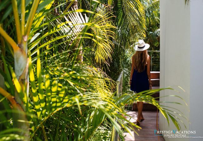 Villa à Saint Barthélemy - Palm Springs