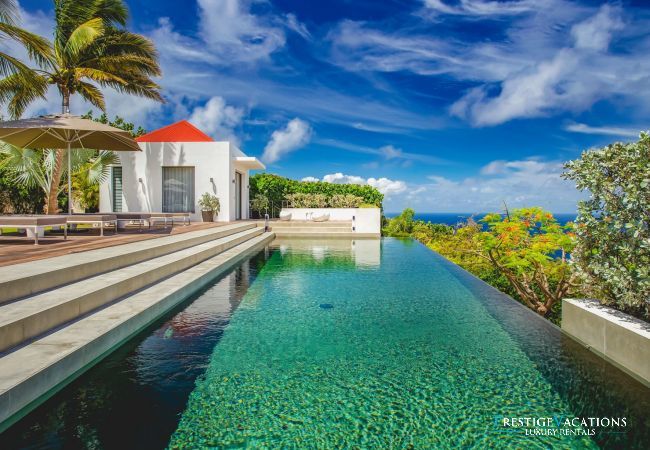 Villa à Saint Barthélemy - Palm Springs