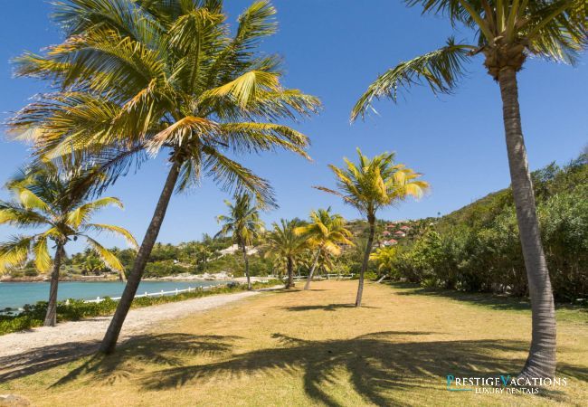 Villa à Saint Barthélemy - Indian Song