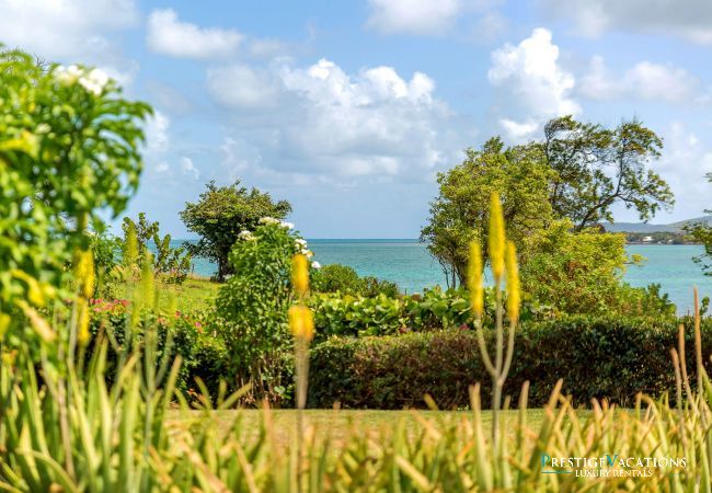 Villa à Le Vauclin - Lady Palm