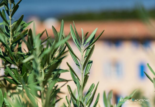 Villa à Gassin - Domaine Hélène