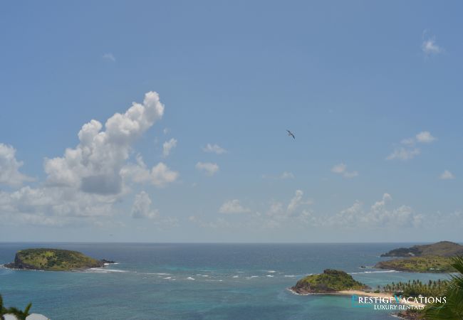 Villa à Saint Barthélemy - Alphane