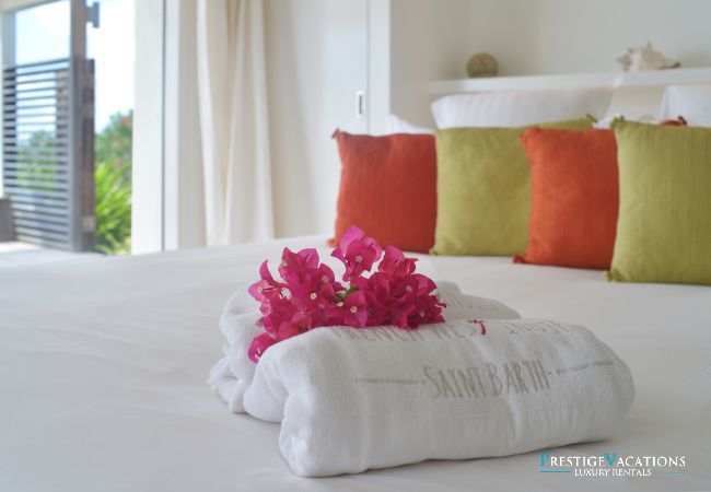 Villa à Saint Barthélemy - Alphane