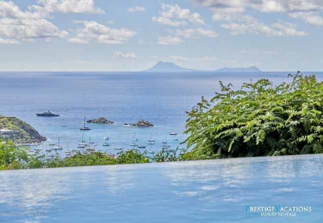 Villa à Saint Barthélemy - Cactus