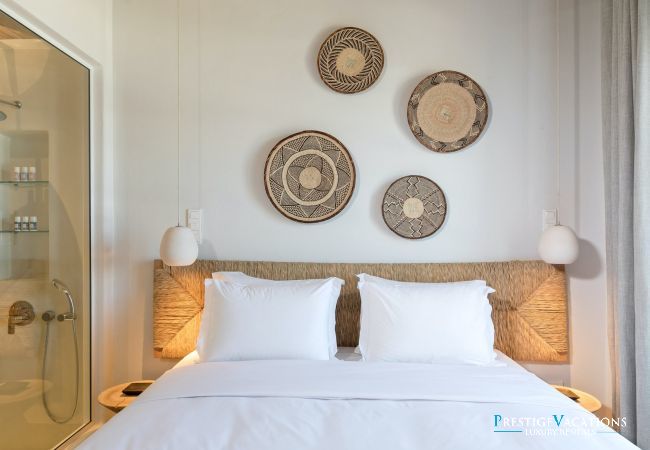 Villa à Mikonos - Mavi