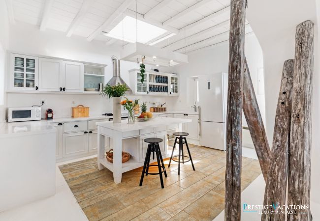 Villa à Mikonos - Artisti