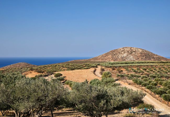 Villa à Kissamos - Metochi Lodge