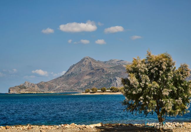 Villa à Kissamos - Metochi Lodge
