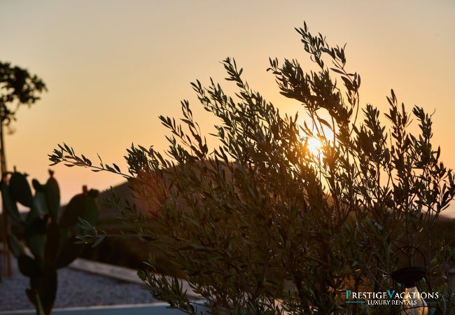 Villa à Kissamos - Metochi Lodge
