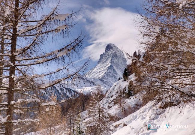 Chalet à Zermatt - Vanilla Orchid Chalet à Zermatt - Vanilla Orchid
