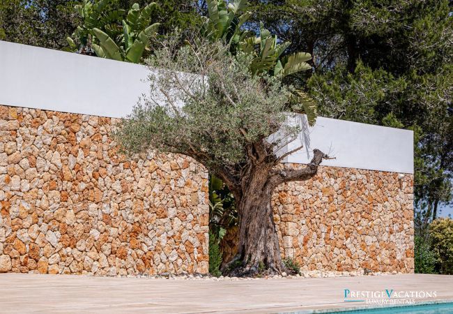 Villa à Ibiza - Can Rafalet