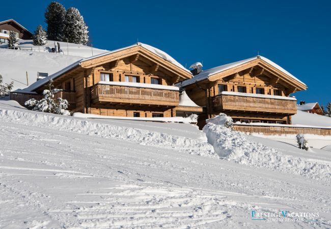 Chalet à Lech - Mimi