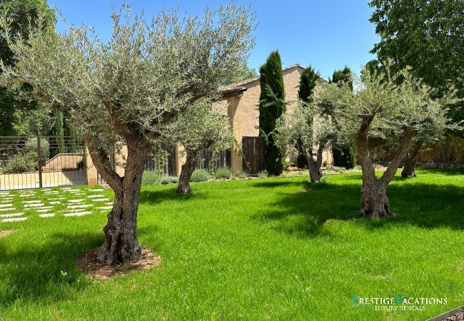 Villa à Saint Remy de Provence - Bergerie Aquino