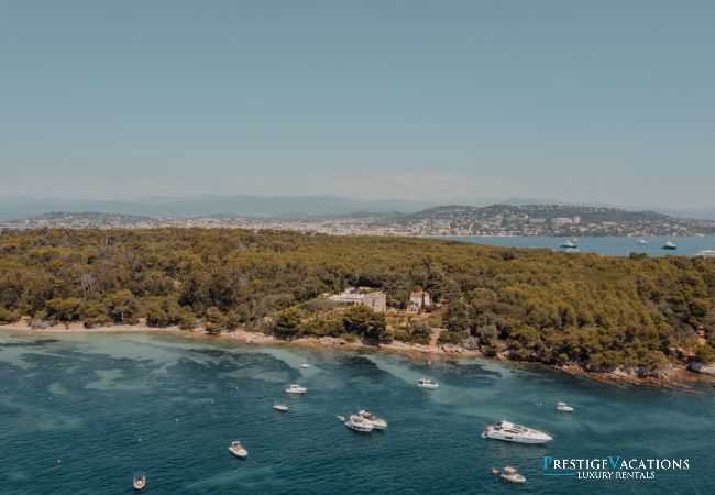 Villa à Cannes - Le Grand Jardin