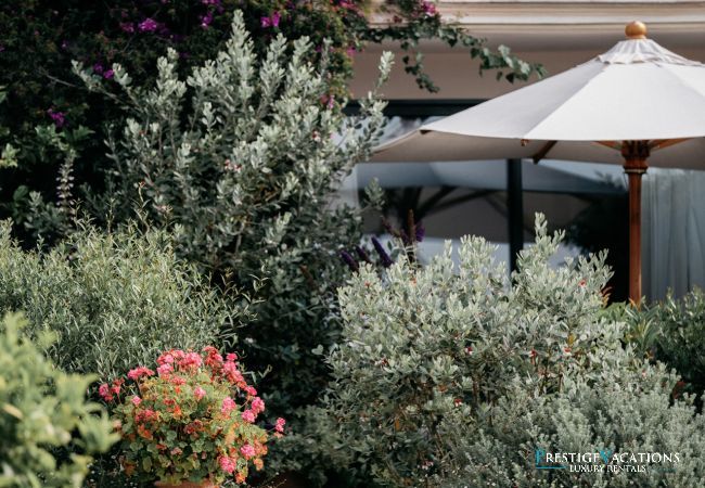 Villa à Cannes - Le Grand Jardin