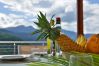 Villa in Bouillante - Malendure
