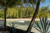 Villa in Roches Noires - Lilot