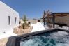 Villa in Mykonos - Adonis