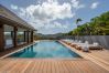 Villa in Saint Barthélemy - Firefly