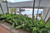 Villa in Saint Barthélemy - Infra