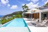 Villa in Saint Barthélemy - Lao