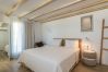 Villa in Mykonos - Delano