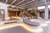Villa in Mykonos - Artisti