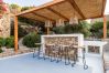 Villa in Mykonos - Artisti
