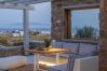Villa in Mykonos - Demeter