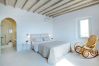 Villa in Mykonos - Vitalis