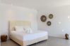 Villa in Mykonos - Nerovino