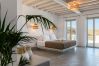 Villa in Mykonos - Nerovino