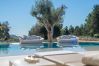 Villa in Ibiza / Eivissa - Oasis Ibiza