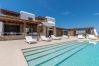 Villa in Mykonos - Lavan