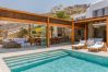 Villa in Mykonos - Lavan