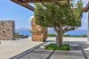 Villa in Mykonos - Mandra