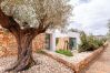 Villa in Ibiza / Eivissa - Can Rafalet