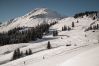 Chalet in Lech - The Barn