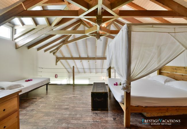 Villa in Sainte-Anne - Orchid ****